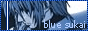 blue_sukai2005_bs_button_01.gif