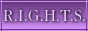 littledarlin_113_es_es-rights-purple.gif